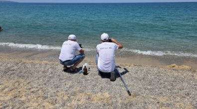 Mare inquinato, Goletta Verde fa arrabbiare la Regione: «Oltraggioso, danno per la Calabria. I dati di Arpacal sono un’altra cosa»